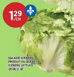 Kim Phat ICEBERG LETTUCE offer