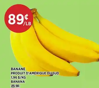 Kim Phat BANANA offer