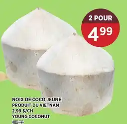 Kim Phat YOUNG COCONUT offer