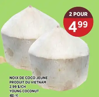 Kim Phat YOUNG COCONUT offer
