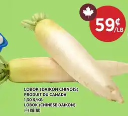 Kim Phat LOBOK (CHINESE DAIKON) offer