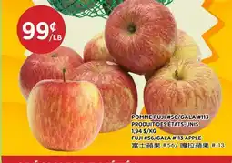 Kim Phat FUJI #56/GALA #113 APPLE offer
