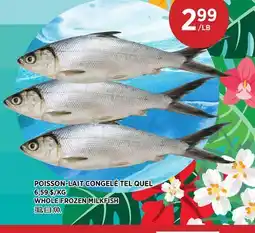 Kim Phat WHOLE FROZEN MILKFISH offer