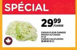 Kim Phat CHINESE CAULIFLOWERS offer
