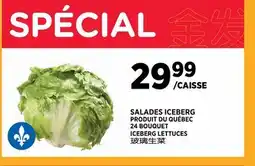 Kim Phat ICEBERG LETTUCES offer
