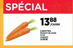 Kim Phat CARROTS offer