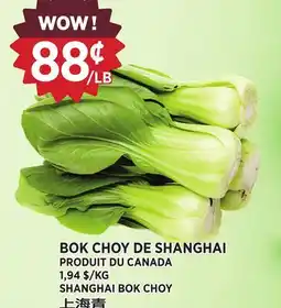 Kim Phat SHANGHAI BOK CHOY offer