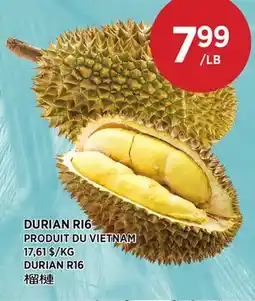 Kim Phat DURIAN R16 offer