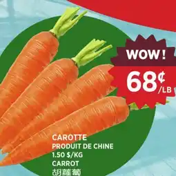 Kim Phat CARROT offer