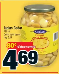 Super C lupins Cedar | Cedar lupin beans offer