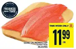 Food Basics Coho salmon fillet offer