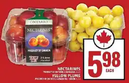Food Basics Nectarines or yellow plums offer