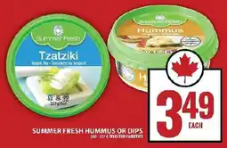 Food Basics Summer fresh hummus or dips offer
