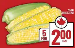 Food Basics Corn offer