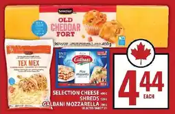 Food Basics Selection cheese, shreds and galbani mozzarella offer