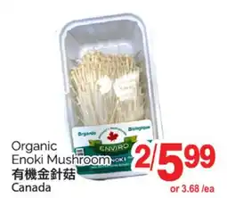 T&T Supermarket ORGANIC ENOKI MUSHROOM offer