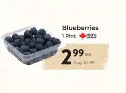 Marche Leo's Blueberries offer