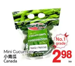 T&T Supermarket MINI CUCUMBERS offer