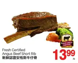 T&T Supermarket FRESH CERTIFIED ANGUS BEEF SHORT RIB offer