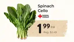 Marche Leo's Spinach Cello offer