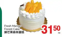 T&T Supermarket FRESH MANGO FOREST CAKE offer