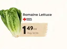 Marche Leo's Romaine Lettuce offer