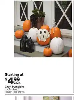 Michaels Craft Pumpkins by Ashland offer