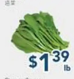 Oceans Fresh Food Market Yu Choy offer