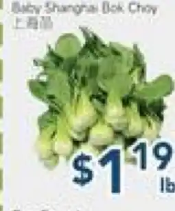 Oceans Fresh Food Market Baby Shanghai Bok Choy offer