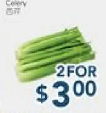 Oceans Fresh Food Market Celery offer