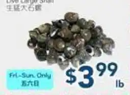 Oceans Fresh Food Market Live Large Snail offer