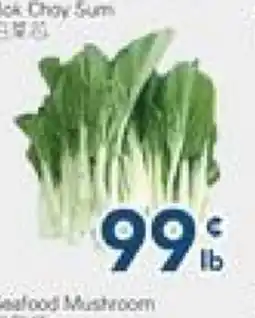 Oceans Fresh Food Market Bok Choy Sum offer