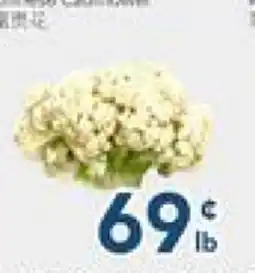 Oceans Fresh Food Market Chinese Cauliflower offer