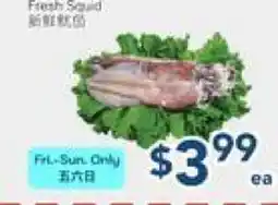 Oceans Fresh Food Market Fresh Squid offer