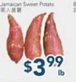 Oceans Fresh Food Market Jamaican Sweet Potato offer