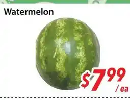 Bestco Food Mart Watermelon offer