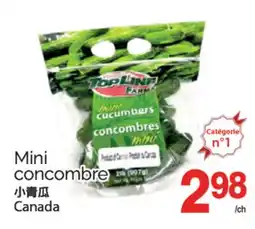 T&T Supermarket MINI CONCOMBRE offer