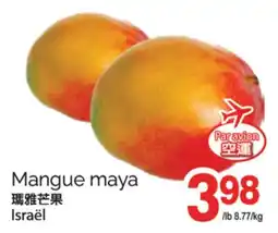 T&T Supermarket MANGUE MAYA offer