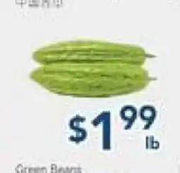 Oceans Fresh Food Market Chinese Bitter Melon offer