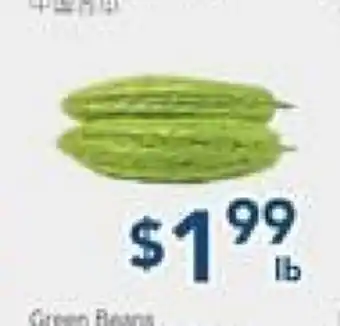 Oceans Fresh Food Market Chinese Bitter Melon offer