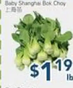 Oceans Fresh Food Market Baby Shanhai Dck Choy offer