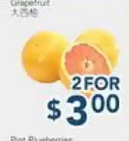 Oceans Fresh Food Market Grapefruit offer