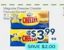 Oceans Fresh Food Market Cheese Cheddar Flavored Special offer