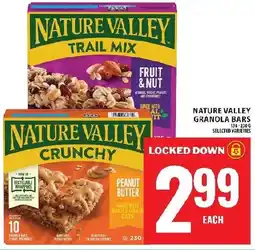 Food Basics Nature valley granola bars offer
