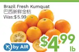 Ample Food Market Brazil Fresh Kumquat offer