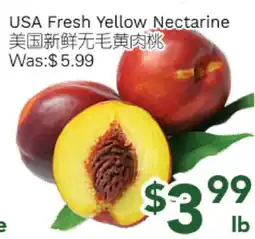 Ample Food Market USA Fresh Yellow Nectarine offer