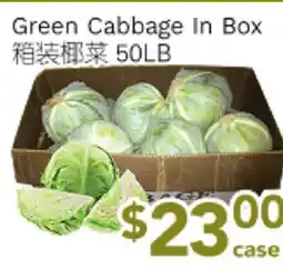 Ample Food Market Green Cabbage In Box offer