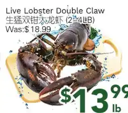 Ample Food Market Live Lobster Double Claw offer