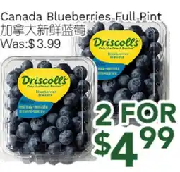 Ample Food Market Canada Buleberries offer