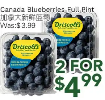 Ample Food Market Canada Buleberries offer